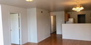 811 Mallow St Gallery 2