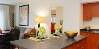 Avalon Meydenbauer Gallery 24