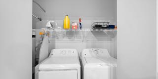 The Madison Gallery 23