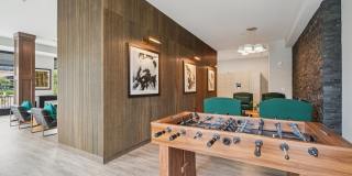 The Scenic Gallery 11