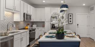 Solis Buffaloe Gallery 18