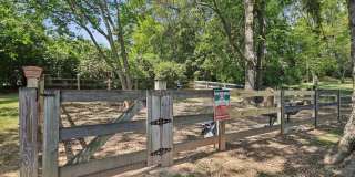 The Ashley Gallery 14