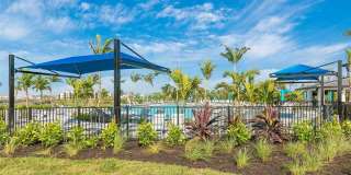 12736 TULUM LOOP Gallery 69