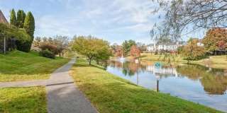 10508 SMITHY Court Gallery 19