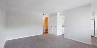 Briarcliff Gallery 41