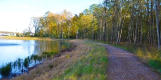 Carillon Woods Gallery 28