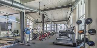 Aliso Gallery 10