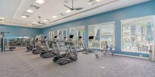 The Banks at Bridgewater Gallery 20