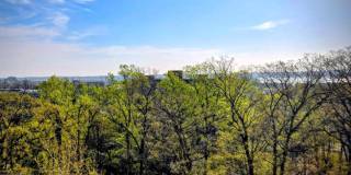 5903 MOUNT EAGLE Drive Gallery 5