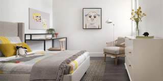 Springline Menlo Park Gallery 41