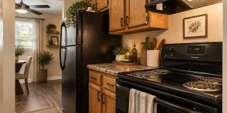 Fabulous 1-bedroom, 1-bathroom apartment w/ utilities included! Gallery 1