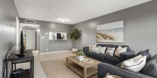 2309 Park Lane Gallery 15