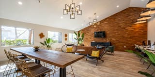 Avana Chandler Gallery 12