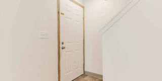 Raven Gallery 15