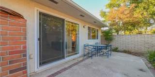 15 Camphor S Gallery 26