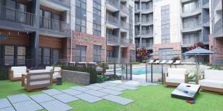 Ellison Museum District Gallery 4