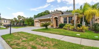 27806 Autumn Breeze Circle Gallery 4