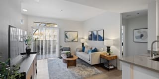 Terra at Portola Park Gallery 3