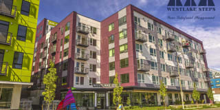 Westlake Steps Gallery 1