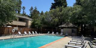 2125 Northwood Cir Gallery 11