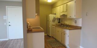 32724 Harper Gallery 5