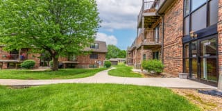 Robin Hills Gallery 1