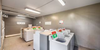 The Meadows Gallery 20