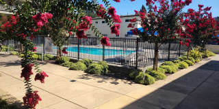 Pacific Garden Gallery 5