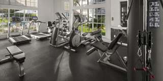 The Asher Gallery 17