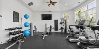 Greystone at Widewaters Gallery 30