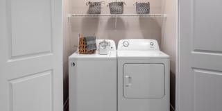 August Friendswood Gallery 17