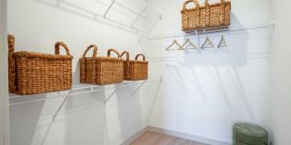 J. Ardin at Apopka Gallery 46