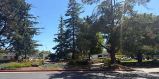Capitola Knolls, Remodeled 3bd. 1.5ba two-level townhome Gallery 23