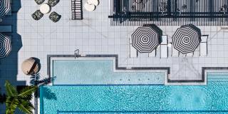 Aster & Links Gallery 6