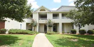 515 Spring Forest Rd Gallery 1