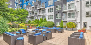 Dexter Lake Union Gallery 37