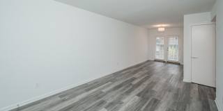 Cliff Terrace Gallery 7