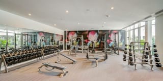 Alluvion Las Olas Alluvion Las Olas Gallery 30