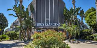 Citrus Gardens Gallery 21