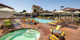Cassia Apartments Gallery 3