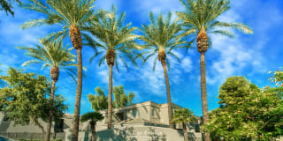 Indigo Springs Gallery 14