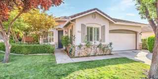 941 Cameron Drive Gallery 1