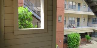 WINDTREE 306 Gallery 36