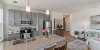 Commonwealth apartments Gallery 19