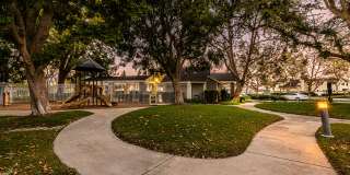 The Landing Gallery 24
