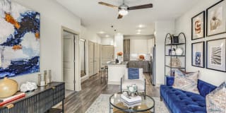 Domain Town Center Gallery 24