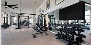 Rivette Tower Gallery 33