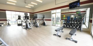 Springs at 2534 Gallery 28