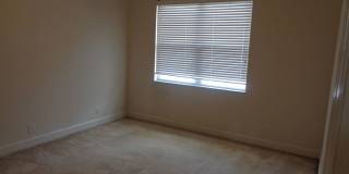 3 Bed/ 2 Bath in Victoria Park 3 Bed/ 2 Bath in Victoria Park Gallery 11