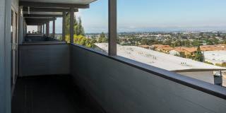 The Heights Gallery 17